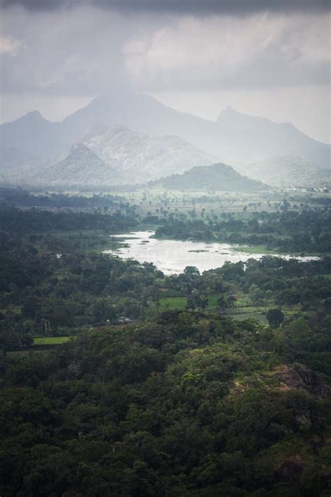 Green Paradise In Sri Lanka Stock Photo Image Of Ceylon Jungle 90755480