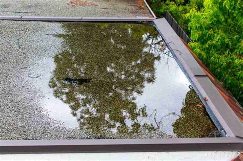 Ponding Water On Flat Roofs Common Problems And Best Solutions Roof Hub