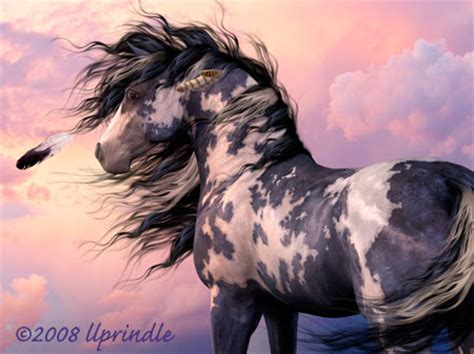 fine art horse prints  cwrw cherokee blue