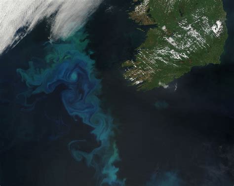 Magnificent Marine Algae Blooms Seen From Space Wired