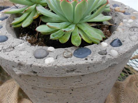 Helps retain soil moisture and improves soil aeration. Cypress Gardens - the Gardeners Blog: Making Hypertufa