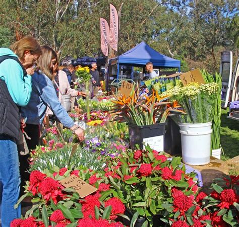 View the warrandyte suburb profile with warrandyte's median unit & house prices, real estate market data & lifestyle information. Warrandyte Riverside Market - Melbourne