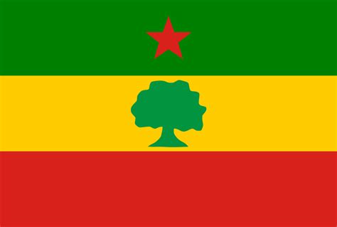 14 Oromia Flag Alaabaa Oromoo Oromo Oromia