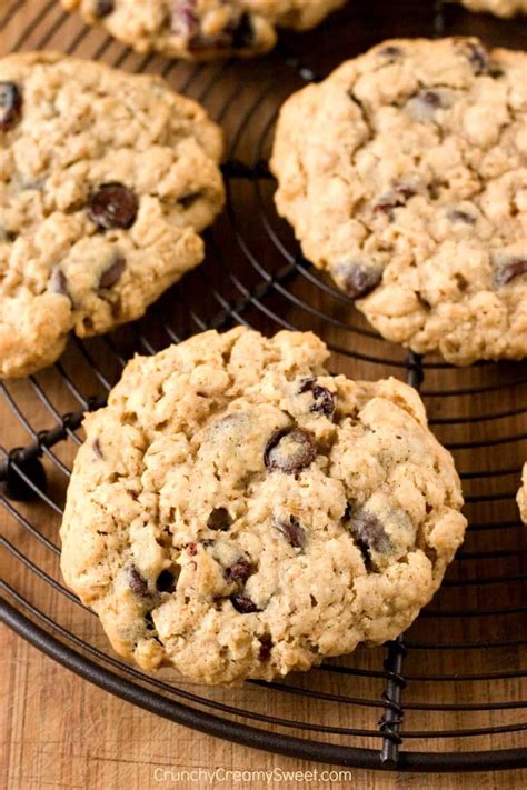 Easy Chocolate Oatmeal Raisin Cookies To Make At Home How To Make