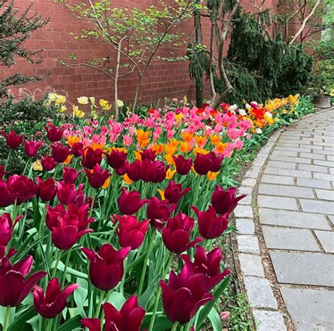 Hours may change under current circumstances Secret Gardens of the Upper West Side ...