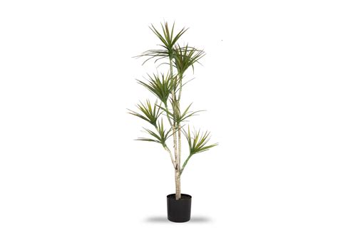 150cm Artificial Tree With Pot Olive Ez Living Furniture