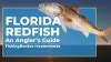 How To Fish For Redfish In Florida The Complete Guide Updated