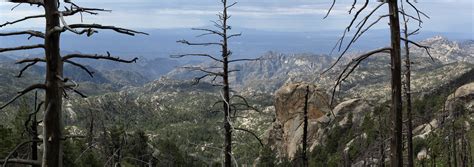 See 5,730 tripadvisor traveler reviews of 47 green valley restaurants and search by cuisine, price, location, and more. Elevation of La Reserve, Oro Valley, AZ, USA - Topographic ...