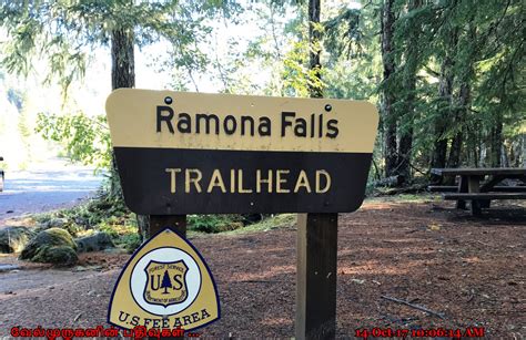 Ramona Falls Loop Hike Oregon Exploring My Life