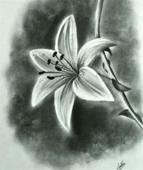 Dibujo Realistic Flower Drawing Beautiful Flower Drawings Pencil