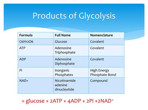 Glycolysis Products