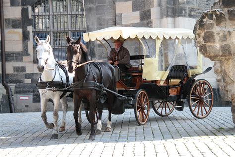 Free Images Street Cart Transport Horses Germany Carriage