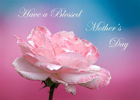 Hope you have the happiest of days. Happy Mother's Day Pink White Rose Photograph by Randall ...