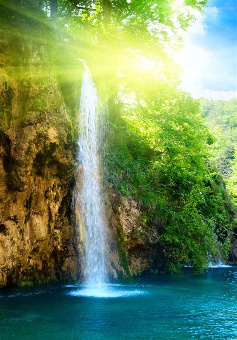Waterfall In Deep Forest Stock Image Image Of Beautiful 7545113