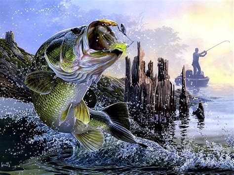 Bass Fishing Painting 640x480 Download Hd Wallpaper Wallpapertip