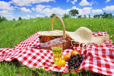 5 Cant Miss Snacks For A Natural Picnic