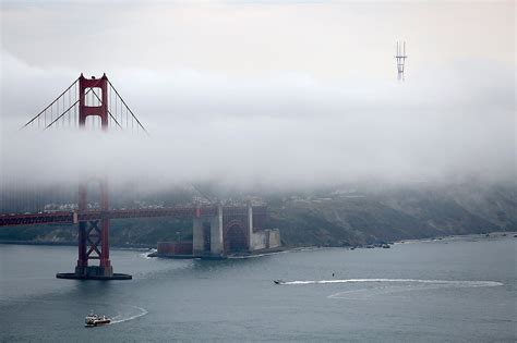 Thick Fog Delivers A Total Drizzle Fest To The San Francisco Bay Area
