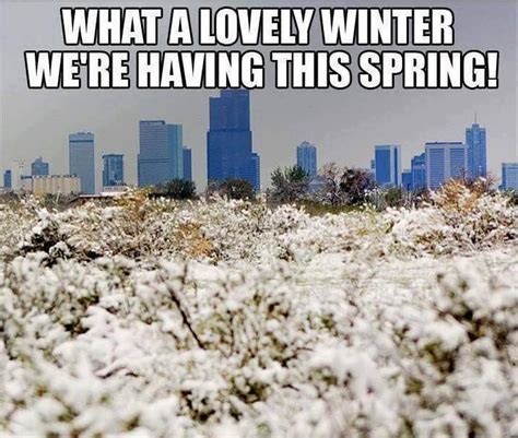 These 14 Memes Show How Coloradans Feel When Spring Finally Arrives