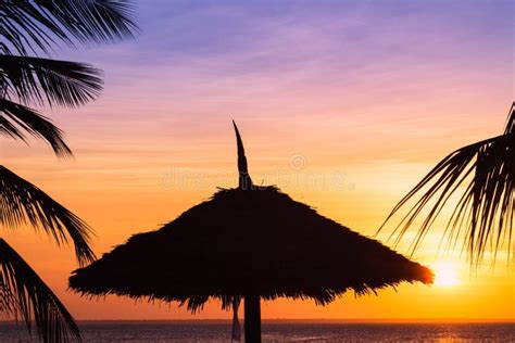 Dark Silhouettes Of Coconut Palm Trees And The Beach Umbrella Stock