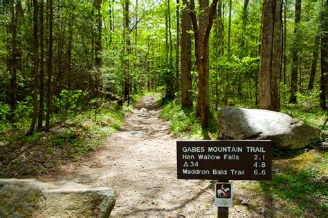 Gsmnp Hen Wallow Falls Ted Goudie