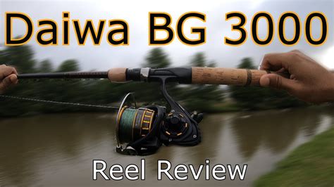 Daiwa BG 3000 Reel Review YouTube