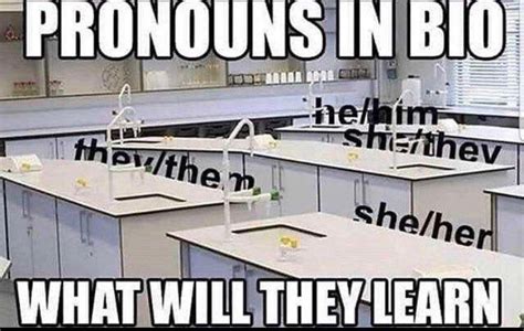 ‘pronouns In Bio Meme What Will We Learn By Stu Hatton Medium