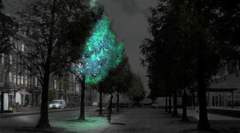 Glowing Trees May Light Up Future City Streets Urban Forest Pro