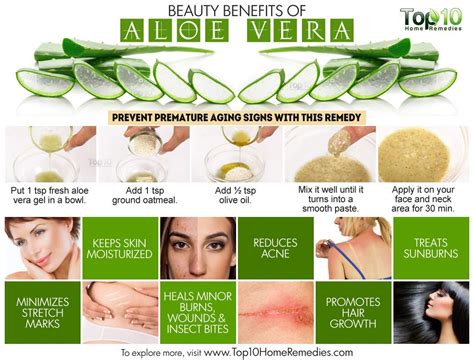 But this answer does not explain the simple purification process to be followed if we want to use the aloe vera inner gel directly from the plant. Top 10 Beauty Benefits of Aloe Vera | Top 10 Home Remedies