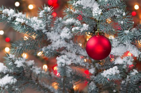 Snow Covered Christmas Tree ~ Holiday Photos On Creative Market