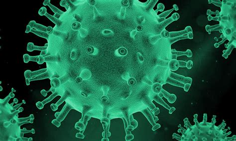 Why does the virus behave differently in different regions? Coronavirus: así está formado el virus del COVID-19