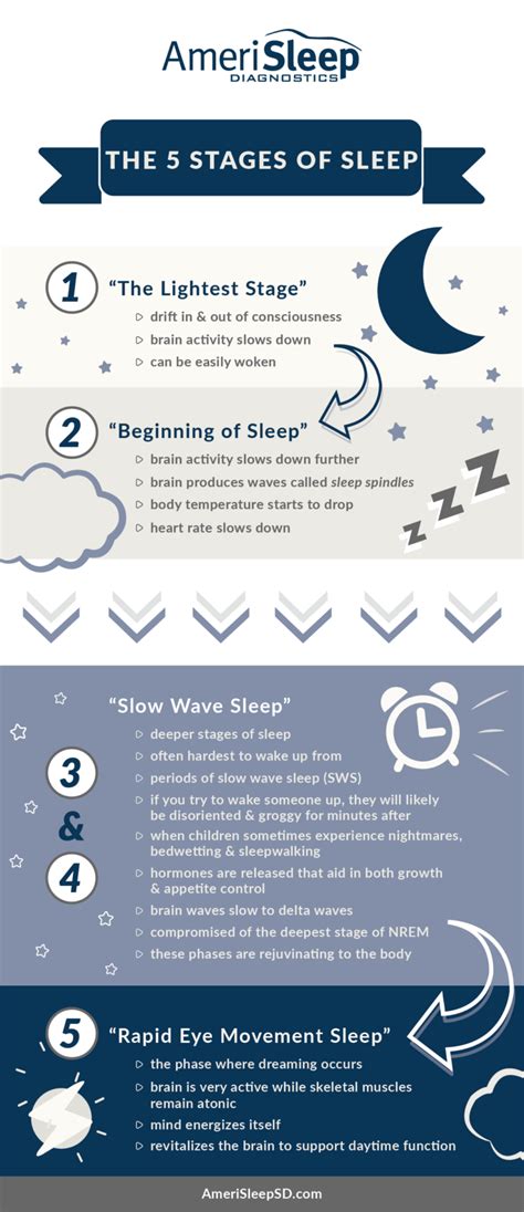 Stages Of Sleep Infographic 01 Amerisleep Diagnostics San Diegos