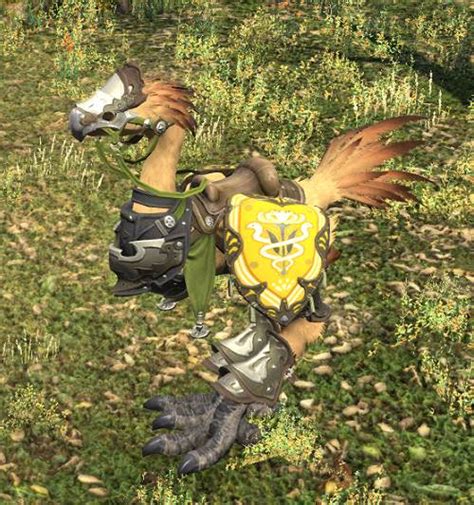 Ffxiv Chocobo Barding Guide Updated Patch 62