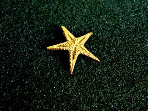 Stunning 14k Gold Starfish Pendant Gold 750 Starfish Etsy