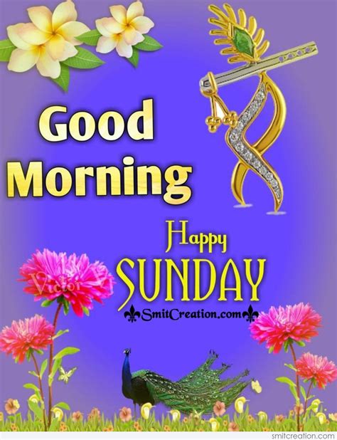 Full 4k Collection Of Top 999 Amazing Happy Sunday Good Morning Images