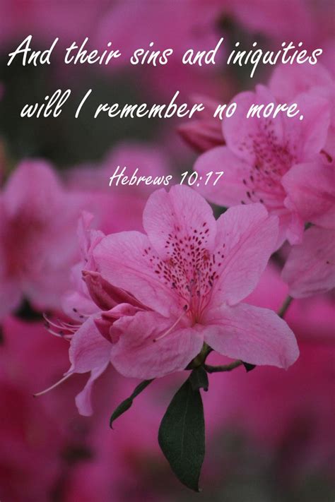 The rain is over and gone. 12428 best Flowers + Bible Verses images on Pinterest ...