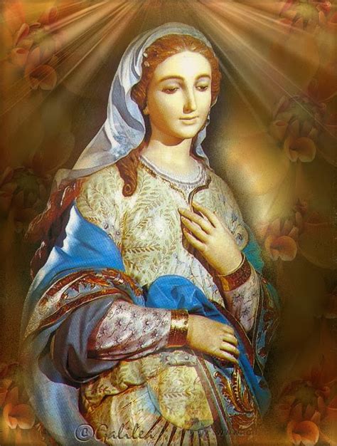 ® Virgen María Ruega Por Nosotros ® 9 Madre Virginal