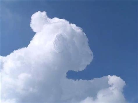 Clouds That Look Like Things Slapped Ham