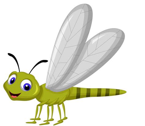 Dragonfly Cartoon Stock Photos Pictures And Royalty Free Images Istock