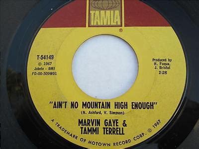 Marvin Gaye Tammi Terrell Ain T No Mountain High Enough Styrene Vinyl Discogs