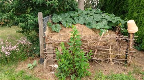 30 m² großen freilauf leben. Ein wildtierfreundlicher Garten - Wildtierhilfe Wien