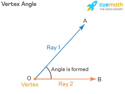 Vertex Angle In Real Life
