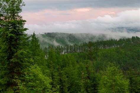 Taiga Landscape And Nature Of The Russian Far East Stock Photo Image