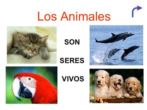 Los Animales