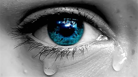 The body reacts to grief, frustration, lovesickness and tragic events with tears. Why Do We Cry? - YouTube