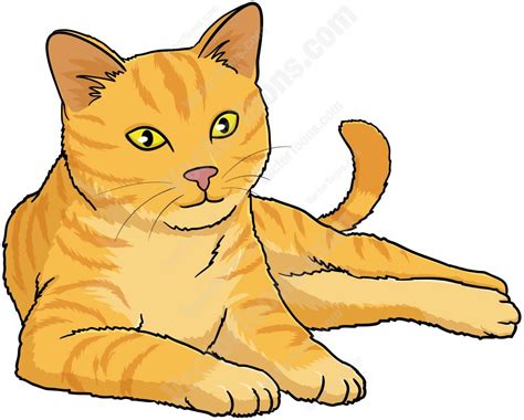 Orange Cat With Yellow Eyes Lying Down And Looking Ahead Cats