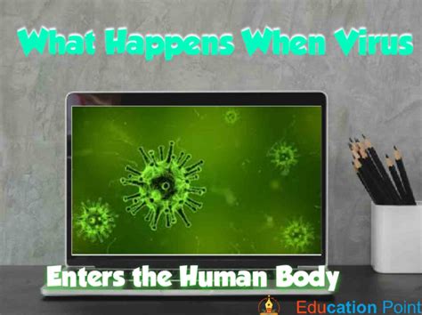 What Happens When Virus Enters Our Body