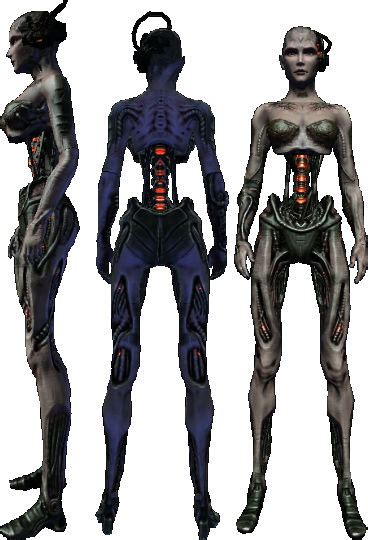 Female Borg Drawing Reference By Spidertrekfan616 On Deviantart