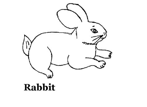 Domestic Animals Coloring Pages Coloring Home - Coloring Pages