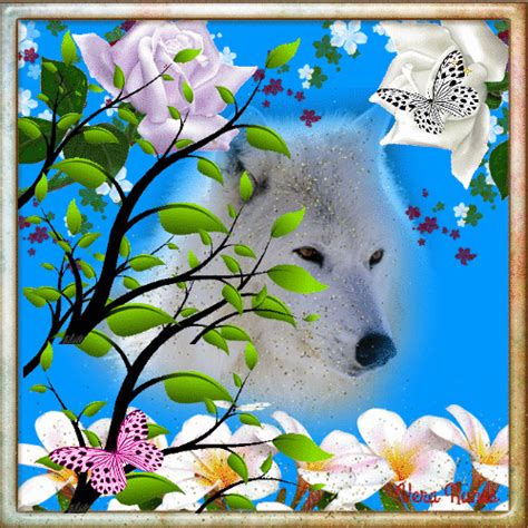 A White Wolf Surrounded By Flowers And Butterflies
