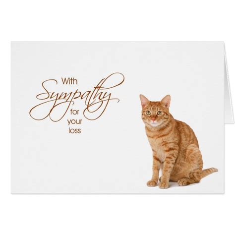 With Sympathy Loss Of Cat Card Zazzle